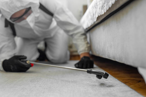 Professional Termite Control technician working in Northlake, IL